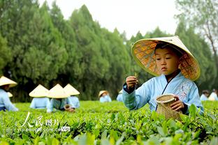 开云登录首页官网截图0